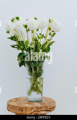 Blumenstrauß aus weißen Dahlienblüten in Glasvase auf einem hölzernen Vintage-Hocker an der weißen Wand. Vorderansicht. Leerzeichen kopieren Stockfoto