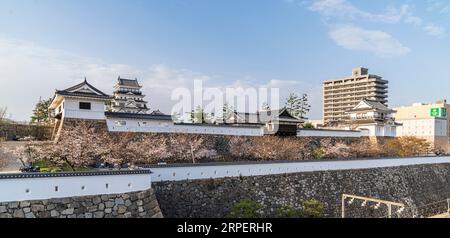 Eine Reihe von Kirschblüten mit dem Haupttor und Tsukimi Yagura, Turm, und im Hintergrund der Donjon und der blaue Himmel auf der Burg Fukuyama im Frühjahr. Pano Stockfoto