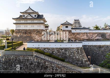 Eine Reihe von Kirschblüten mit dem Haupttor und Fushimi Yagura, Turm und im Hintergrund der Donjon vor einem blauen Himmel auf der Burg Fukuyama im Frühjahr Stockfoto