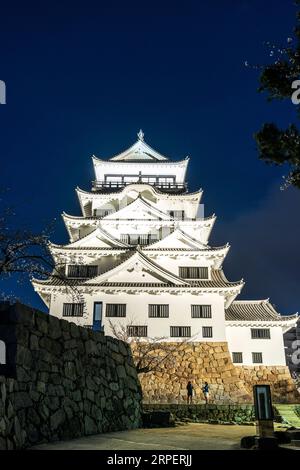 Nächtlicher Blick auf den beleuchteten Donjon von Fukuyama Castle in Japan mit den ishigaki-Steinmauern eines ehemaligen Tores. Dunkelblauer Himmel, Kirschblüten. Stockfoto