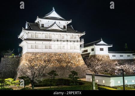 Eine Reihe von Kirschblüten mit dem beleuchteten Haupttor, Sujigane Gomon und Fushimi yagura, Turm, auf der Burg Fukuyama im Frühling in der Nacht. Stockfoto