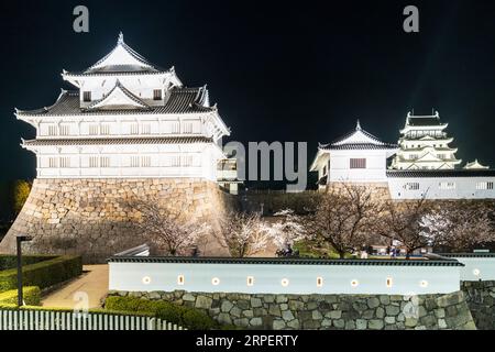 Eine Reihe von Kirschblüten mit dem Haupttor und Fushimi Yagura, Turm, und im Hintergrund der Donjon auf Fukuyama Burg im Frühjahr in der Nacht. Stockfoto