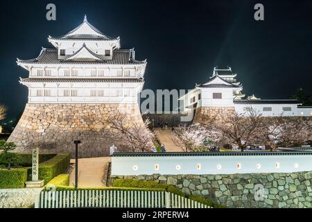 Eine Reihe von Kirschblüten mit dem Haupttor und Fushimi Yagura, Turm, und im Hintergrund der Donjon auf Fukuyama Burg im Frühjahr in der Nacht. Stockfoto