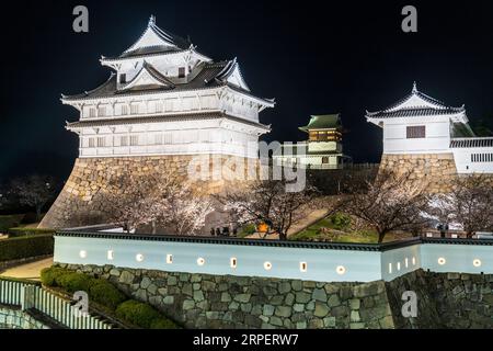 Eine Reihe von Kirschblüten mit dem Haupttor und Fushimi Yagura, Turm, und im Hintergrund das Shorou auf der Burg Fukuyama im Frühling in der Nacht. Stockfoto