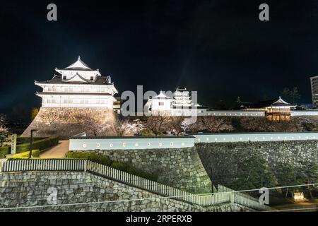 Eine Reihe von Kirschblüten mit dem Haupttor und Fushimi Yagura, Turm, und im Hintergrund der Donjon auf Fukuyama Burg im Frühjahr in der Nacht. Stockfoto