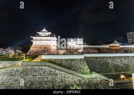 Eine Reihe von Kirschblüten mit dem Haupttor und Fushimi Yagura, Turm, und im Hintergrund der Donjon auf Fukuyama Burg im Frühjahr in der Nacht. Stockfoto