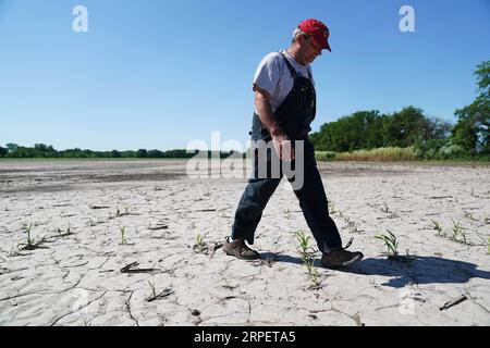 (190904) -- PEKING, 4. September 2019 -- Blake Hurst, Präsident des Missouri Farm Bureau, ebenfalls ein Mais-, Soja- und Gewächshausbauer, geht auf seinem Feld in Tarkio, Missouri, USA, 10. Juni 2019. ) Xinhua Schlagzeilen: US-Bauern ernten Enttäuschung als Handelskrieg eskaliert LiuxJie PUBLICATIONxNOTxINxCHN Stockfoto