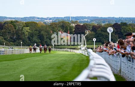 Rennen auf der Beverley Racecourse, Yorkshire, während des ersten Rennens am Beverley Bullet Raceday, Samstag, den 2. September 2023. Kredit-JTW-Equine-Bilder. Stockfoto