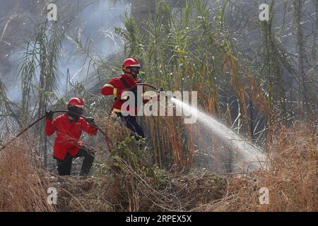 (190905) -- LISSABON, 5. September 2019 -- Feuerwehrleute versuchen, ein Buschfeuer in Lissabon, Portugal, am 5. September 2019 zu löschen. Ein Buschbrand brach am Donnerstag in Lissabon aus, berichteten lokale Medien. (Foto: Pedro Fiuza/Xinhua) PORTUGAL-LISSABON-BUSH FIRE PetroxFiuza PUBLICATIONxNOTxINxCHN Stockfoto