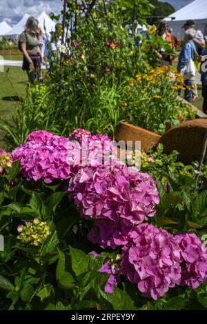 Besucher und bunte Gartenblumen - Teilnahme am Wettbewerb „Gartenbau-Hochbeet“, RHS Tatton Park Flower Show 2023 Showground, Cheshire England UK. Stockfoto