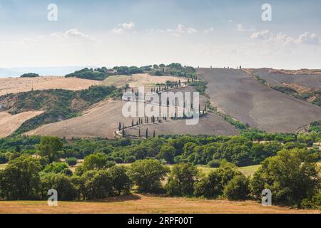 Sommerlandschaft und Bergstraße mit Zypressen in La Foce, Val d'Orcia. Chianciano Terme, Toskana Region, Italien Stockfoto