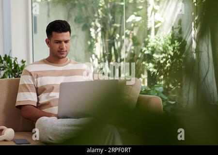 Junger, seriöser Freiberufler oder Solopreneur mit Laptop, der Arbeit organisiert oder Online-Informationen durchsucht, während er zu Hause auf dem Sofa sitzt Stockfoto