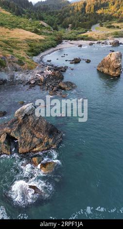 Luftaufnahme des Lone Ranch Beach im Samuel H. Boardman Scenic Corridor an der Küste von Oregon. Stockfoto