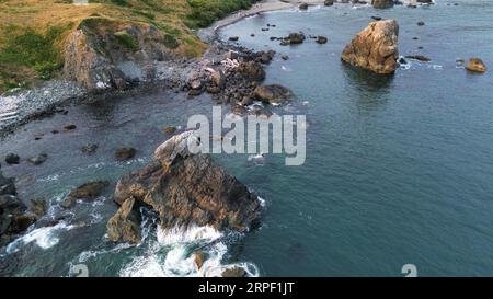 Luftaufnahme des Lone Ranch Beach im Samuel H. Boardman Scenic Corridor an der Küste von Oregon. Stockfoto