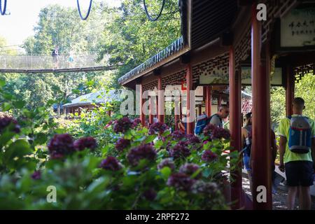 190910 -- BRÜSSEL, 10. September 2019 -- Menschen spazieren entlang des Korridors in einem chinesischen Garten in Pairi Daiza, einem Zoo in Brugelette, Belgien, 24. August 2019. Der Zoo Pairi Daiza ist ein privat geführter Zoo und botanischer Garten, in dem mehr als 7.000 Tiere aus der ganzen Welt leben. BELGIEN-BRUGELETTE-PAIRI DAIZA-LANDSCHAFT ZhengxHuansong PUBLICATIONxNOTxINxCHN Stockfoto