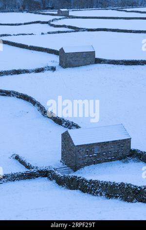 Schneebedeckte Wiesen, Steingebäude und Trockenmauern in Gunnerside, Swaledale, Yorkshire Dales, North Yorkshire, UK im Winter (November) Stockfoto