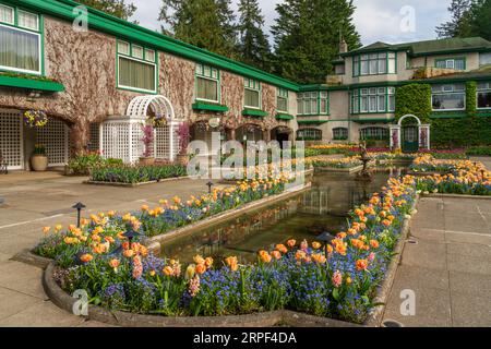 Die Frühlingsblumen werden in den Butchart Gardens, Victoria, Vancouver Island, British Columbia, Kanada gezeigt. Stockfoto