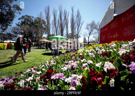 Entertainment Bilder des Tages (190914) -- CANBERRA, 14. September 2019 -- Besucher besuchen Floriade, ein jährliches Blumen- und Unterhaltungsfestival, im Commonwealth Park in Canberra, Australien, 14. September 2019. Das Festival beginnt vom 14. September bis 13. Oktober in Canberra. (Foto: /Xinhua) AUSTRALIA-CANBERRA-FLORIADE ChuxChen PUBLICATIONxNOTxINxCHN Stockfoto