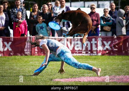 (190917) -- PEKING, 17. September 2019 -- Ein Hund springt über den Rücken seines Besitzers, um eine Frisbee während des Flying Dogs Wettbewerbs in Warschau, Polen, 15. September 2019 zu fangen. (Foto von /XINHUA) XINHUA FOTOS DES TAGES JaapxArriens PUBLICATIONxNOTxINxCHN Stockfoto