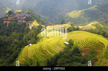 (190918) -- PEKING, 18. September 2019 -- Luftaufnahme vom 17. September 2019 zeigt einen Blick auf die Terrassenfelder im Dorf Jihua der Gemeinde Jihua in der Provinz Rongjiang im Kreis Qiandongnan Miao und in der autonomen Präfektur Dong im Südwesten Chinas in der Provinz Guizhou. ) XINHUA FOTOS DES TAGES YangxWenbin PUBLICATIONxNOTxINxCHN Stockfoto