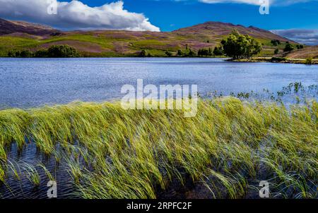 Loch Tarff liegt in den Hügeln oberhalb des südlichen Endes von Loch Ness in den Scottish Highlands. Stockfoto