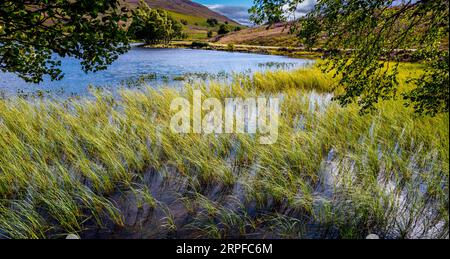 Loch Tarff liegt in den Hügeln oberhalb des südlichen Endes von Loch Ness in den Scottish Highlands. Stockfoto