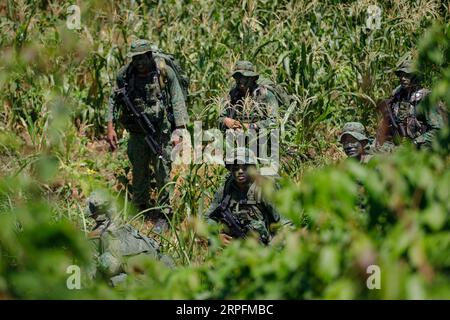 Puslatpur, Indonesien. September 2023. Soldaten der US-Armee, die der Bravo Company Borzoi, 25. Infanteriedivision, zugeordnet sind, manövrieren zusammen mit indonesischen Marineinfanteristen der National Armed Forces während des Dschungelfeldtrainings bei der Übung Super Garuda Shield 2023 am 4. September 2023 in Puslatpur, Indonesien, durch den Dschungel. Anrede: SSG Keith Thornburgh/US Army/Alamy Live News Stockfoto