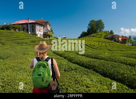 Eine Touristenfrau besucht Teeplantagen in Haremtepe (Dorf Ceceva) im Morgenlicht. Traditionelle Teegärten im Cayeli-Viertel der Stadt Rize. Türkei Stockfoto