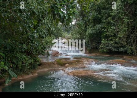 Agua Azul Wasserfälle in Mexio. Stockfoto