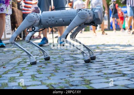 Grauer Militärroboterhund bei einer Demonstration Stockfoto