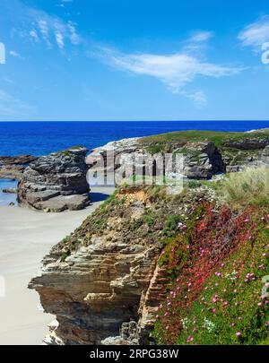 Sommer blühenden Atlantikstrand Islas (Galizien, Spanien) mit weißem Sand und rosa Blüten vor. Stockfoto