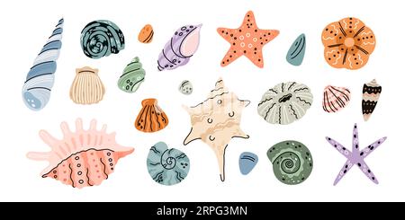 Tropische Muscheln. Verschiedene Formen von Unterwasserelementen. Dekorative Mineralformationen. Muschelschalen. Jakobsmuscheln und Seesterne. Wasserconch Stock Vektor
