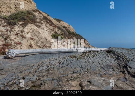 Malerische Pelican Point vista am Crystal Cove Beach, Newport Coast, Newport Beach, Südkalifornien Stockfoto