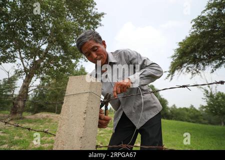 191009 -- FUXIN, 9. Oktober 2019 -- Hou GUI repariert beschädigten Zaun in Waldland im Zhangwu County der Stadt Fuxin, nordöstliche Provinz Liaoning, 18. Juli 2019. Hou GUI, 68, ist ein Dorfbewohner im Dorf Liujia der Stadt Sihecheng im Zhangwu County. Hou lebt am südlichen Rand des Horqin-Sandlandes und hat in den letzten 18 Jahren mehr als 200.000 Bäume auf 2.400 mu 160 Hektar Sandland gepflanzt. Als ich ein Kind war, sprengte der Wind den Sand und ich konnte nichts sehen. Hou GUI sagte: Um seine Heimat zu schützen, begann Hou GUI 2001 mit der Aufforstung. In den letzten Jahren, mit der Stärkung von Gove Stockfoto