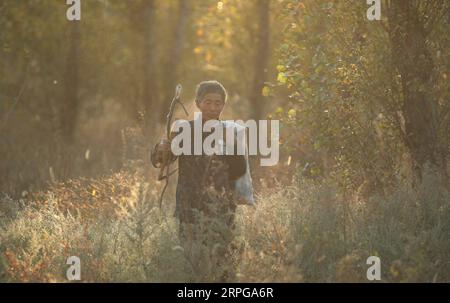 191009 -- FUXIN, 9. Oktober 2019 -- Hou GUI Patrouillen in Waldgebieten im Zhangwu County der Stadt Fuxin, Provinz Liaoning im Nordosten Chinas, 8. Oktober 2019. Hou GUI, 68, ist ein Dorfbewohner im Dorf Liujia der Stadt Sihecheng im Zhangwu County. Hou lebt am südlichen Rand des Horqin-Sandlandes und hat in den letzten 18 Jahren mehr als 200.000 Bäume auf 2.400 mu 160 Hektar Sandland gepflanzt. Als ich ein Kind war, sprengte der Wind den Sand und ich konnte nichts sehen. Hou GUI sagte: Um seine Heimat zu schützen, begann Hou GUI 2001 mit der Aufforstung. In den letzten Jahren, mit der Stärkung der Regierung verwalten Stockfoto