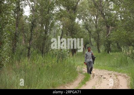 191009 -- FUXIN, 9. Oktober 2019 -- Hou GUI Patrouillen in Waldgebieten im Zhangwu County der Stadt Fuxin, Provinz Liaoning im Nordosten Chinas, 17. Juli 2019. Hou GUI, 68, ist ein Dorfbewohner im Dorf Liujia der Stadt Sihecheng im Zhangwu County. Hou lebt am südlichen Rand des Horqin-Sandlandes und hat in den letzten 18 Jahren mehr als 200.000 Bäume auf 2.400 mu 160 Hektar Sandland gepflanzt. Als ich ein Kind war, sprengte der Wind den Sand und ich konnte nichts sehen. Hou GUI sagte: Um seine Heimat zu schützen, begann Hou GUI 2001 mit der Aufforstung. In den letzten Jahren, mit der Stärkung des Regierungsmanags Stockfoto