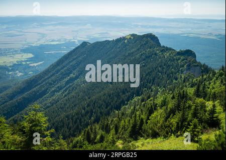 Hohe Tatra Natur: Fangen Sie den atemberaubenden Kontrast der grünen Kiefernwälder vor der zerklüfteten Kulisse der Hohen Tatra ein, einer Symphonie aus grünen bene Stockfoto