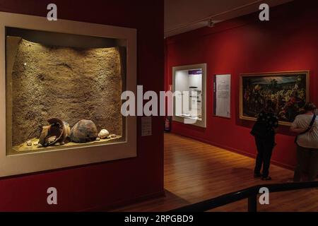 Ceramic reston, Begräbnis auf dem loma del lomo in einer beleuchteten Vitrine des Provinzmuseums, Palast des infantado, Stadt Guadalajara. Stockfoto