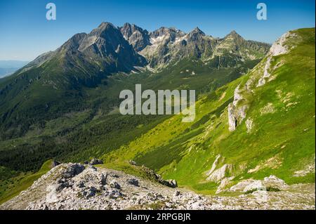 Die Pracht der Natur wird auf diesem Foto festgehalten, als die hohe Tatra über den üppigen grünen Wiesen der Belianske Tatra ragt. Stockfoto