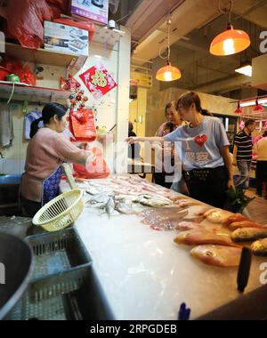 191012 -- HONG KONG, 12. Oktober 2019 -- Kate Lee kauft ihr Teestaurant auf einem Markt im südchinesischen Hongkong ein, 10. Oktober 2019. Eingebettet in den labyrinthartigen Fischmarkt des ruhigen Fischerdorfes Lei Yue Mun in Hong Kong, ist ein kleines, gemütliches Teestaurant unerwartet zu einem Leuchtturm des Mutes für gewöhnliche Menschen in Hongkong geworden, die Frieden inmitten des Chaos der letzten Zeit suchen. Nachdem sie Ende Juni Bilder postete, die die Polizei Hongkongs gegen einige radikale Demonstranten unterstützten, fand Kate Lee, die Besitzerin des Teestaurants, dass ihr Gewissen ihren Familienbetrieb stark belastet hatte. Konfrontiert Stockfoto