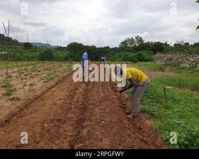 191015 -- PEKING, 15. Oktober 2019 Xinhua -- Bauern gehen ihre Arbeit in einem High-Tech landwirtschaftlichen Industriepark in Abuja, Nigeria, 29. August 2019. Xinhua Xinhua Schlagzeilen: Die Eskalation des Hungers in Afrika fordert mehr globale Anstrengungen zur Ernährungssicherheit Stockfoto