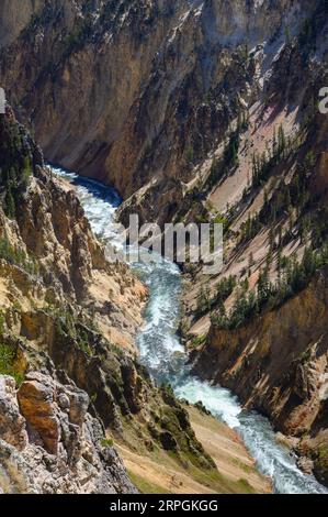 Der Yellowstone River, der durch den Grand Canyon von Yellowstone im Yellowstone National Park fließt Stockfoto
