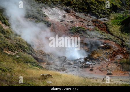 Artists Paint Pot Springs im Yellowstone National Park Stockfoto