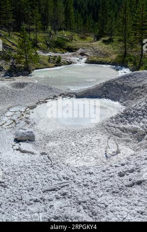 Artists Paint Pot Springs im Yellowstone National Park Stockfoto