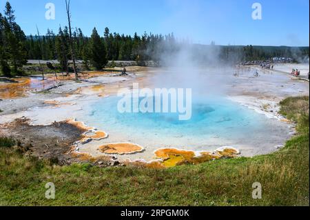 Artists Paint Pot Springs im Yellowstone National Park Stockfoto