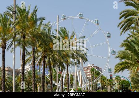 ALMERIA, SPANIEN - 26. MAI 2023 touristische Komponente des Kultur- und Freizeitprogramms der Stadt Almeria in der Region Andalusien in Spanien Stockfoto