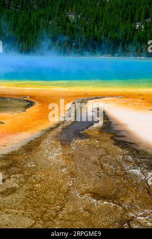 Die leuchtenden Farben des Grand Prismatic Spring im Yellowstone National Park, USA Stockfoto