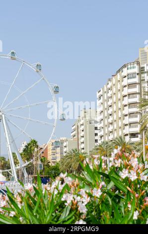 ALMERIA, SPANIEN - 26. MAI 2023 touristische Komponente des Kultur- und Freizeitprogramms der Stadt Almeria in der Region Andalusien in Spanien Stockfoto