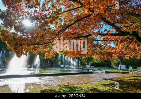 191018 -- BERLIN, 18. Oktober 2019 -- Foto aufgenommen am 18. Oktober 2019 zeigt die Herbstlandschaft des Palmengartens in Frankfurt am 18. Oktober 2019. DEUTSCHLAND-HERBST-LANDSCHAFT LianxZhen PUBLICATIONxNOTxINxCHN Stockfoto