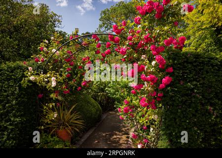 Harlow Carr Gardens, Harrogate, Yorkshire Stockfoto